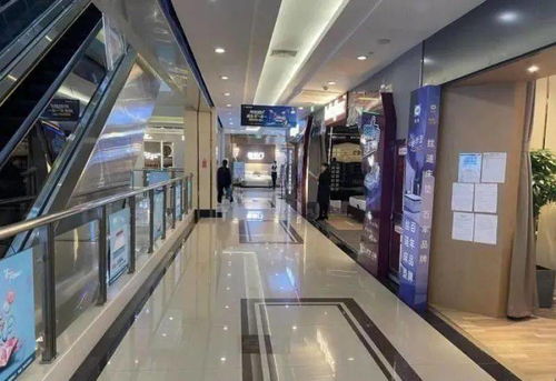 行業聚焦 原材料價格飆升、終端銷售疲軟，家居飾品市場如何破局？